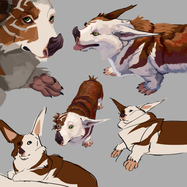 21 - Concept Sketches